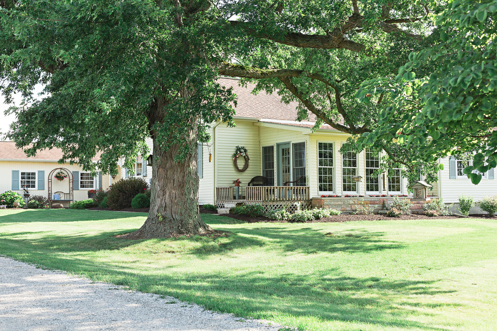 SSP summer wedding| venue| details| backyard wedding