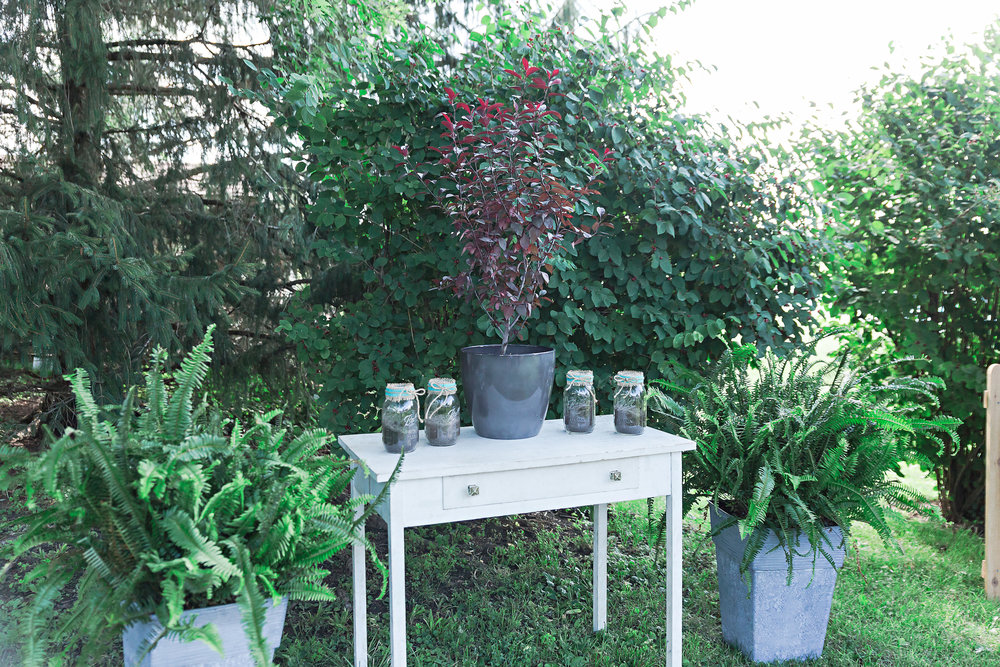 SSP summer wedding| tree planting ceremony| backyard wedding