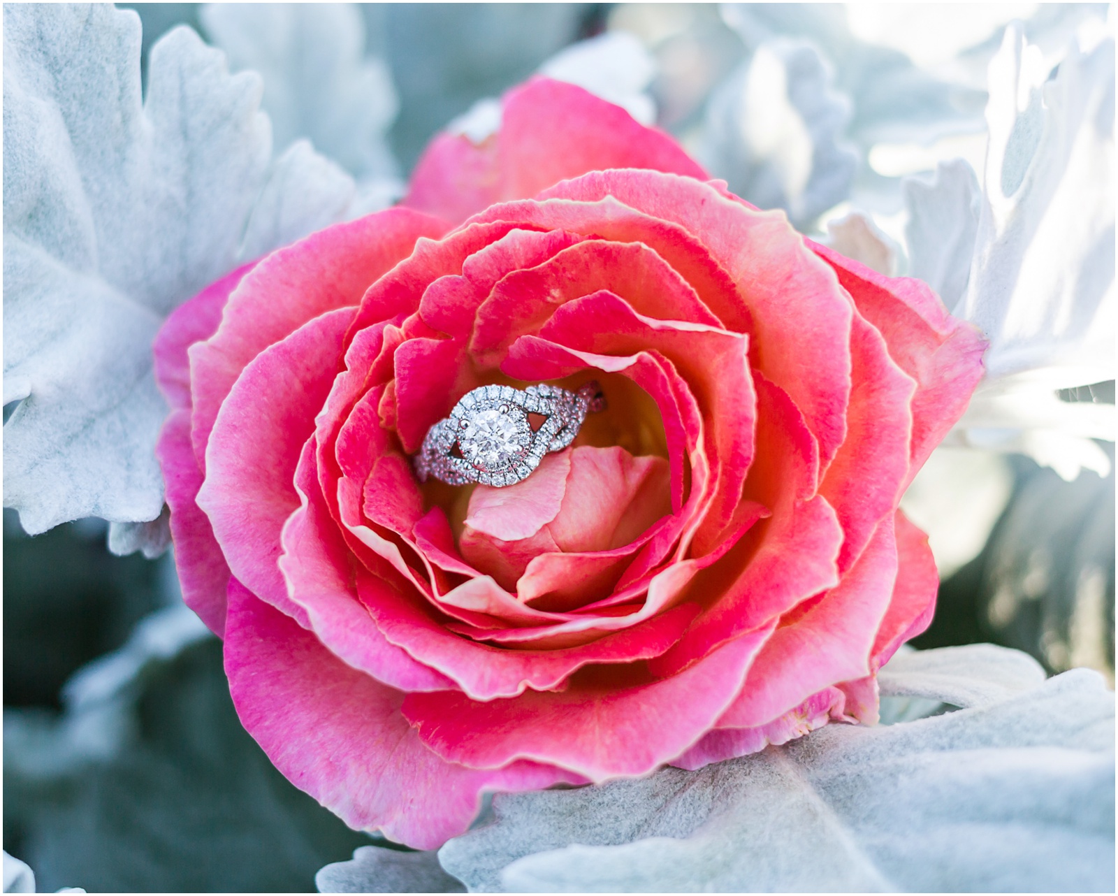 Top 5 Things to do When You Get Engaged | Engagement Ring