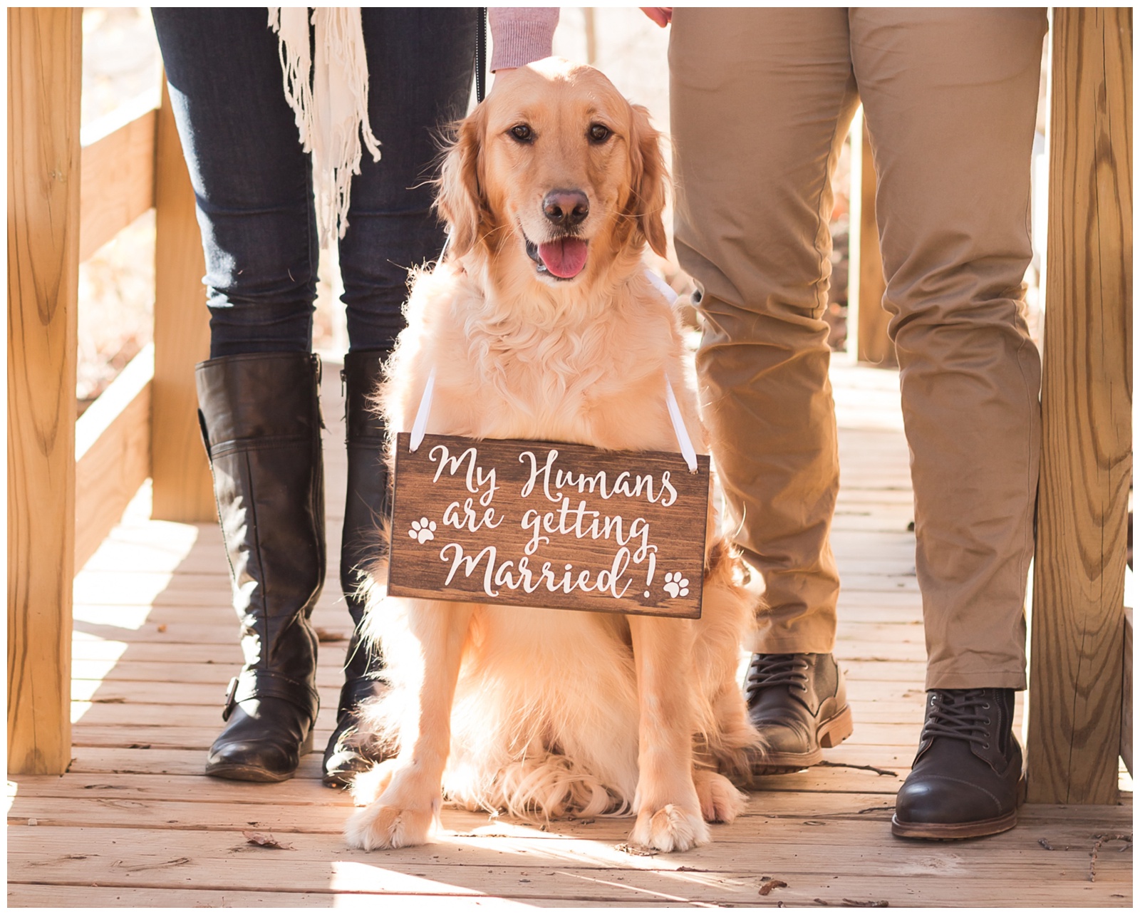 Golden retriever on bridge with feet of bride and groom to be