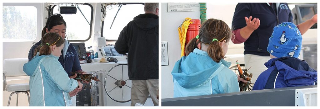 Lobster boat tour- lobster trap-Bar Harbor Maine