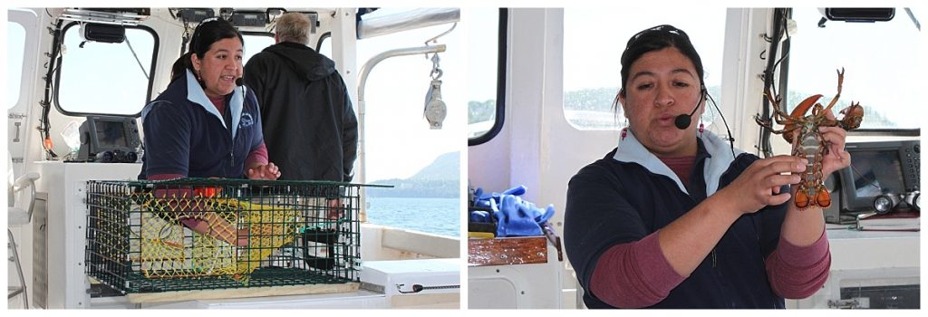 Lobster boat tour- lobster trap-Bar Harbor Maine