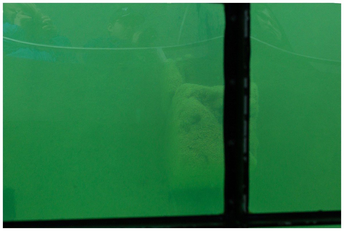 Glass Bottom Boat Tour 