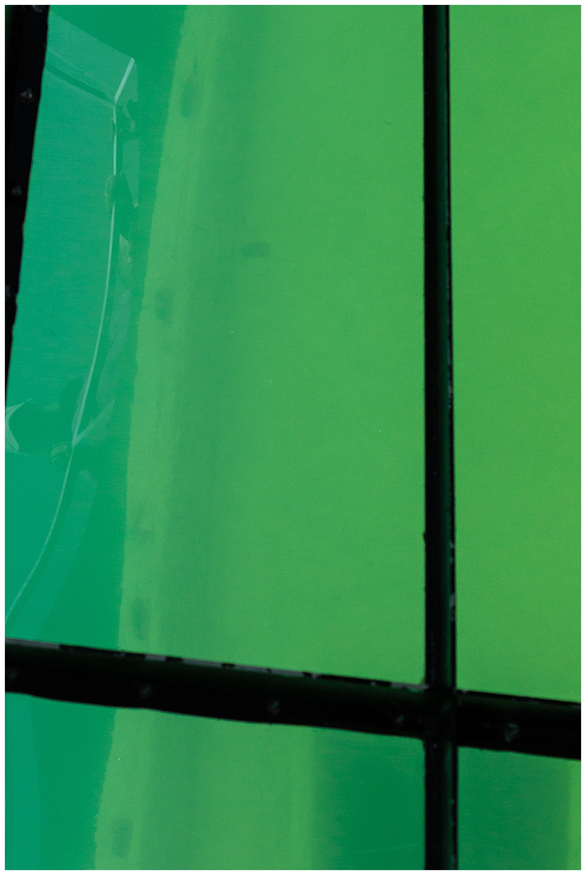 Glass Bottom Boat Tour 