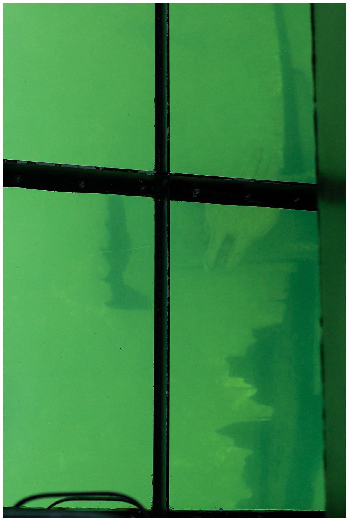 Glass Bottom Boat Tour 