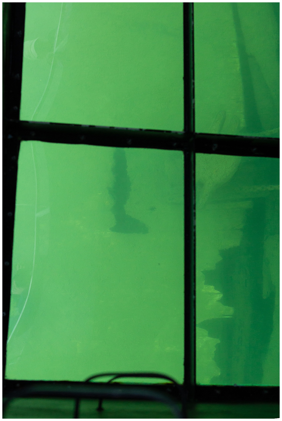 Glass Bottom Boat Tour 