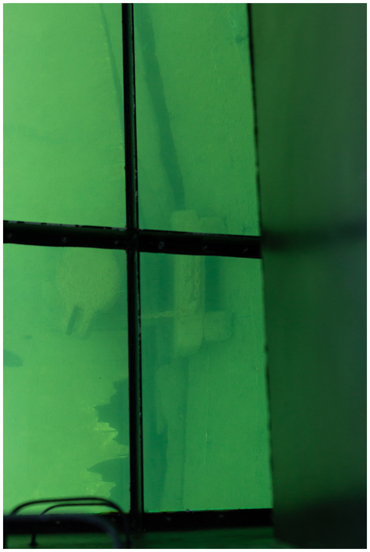 Glass Bottom Boat Tour 