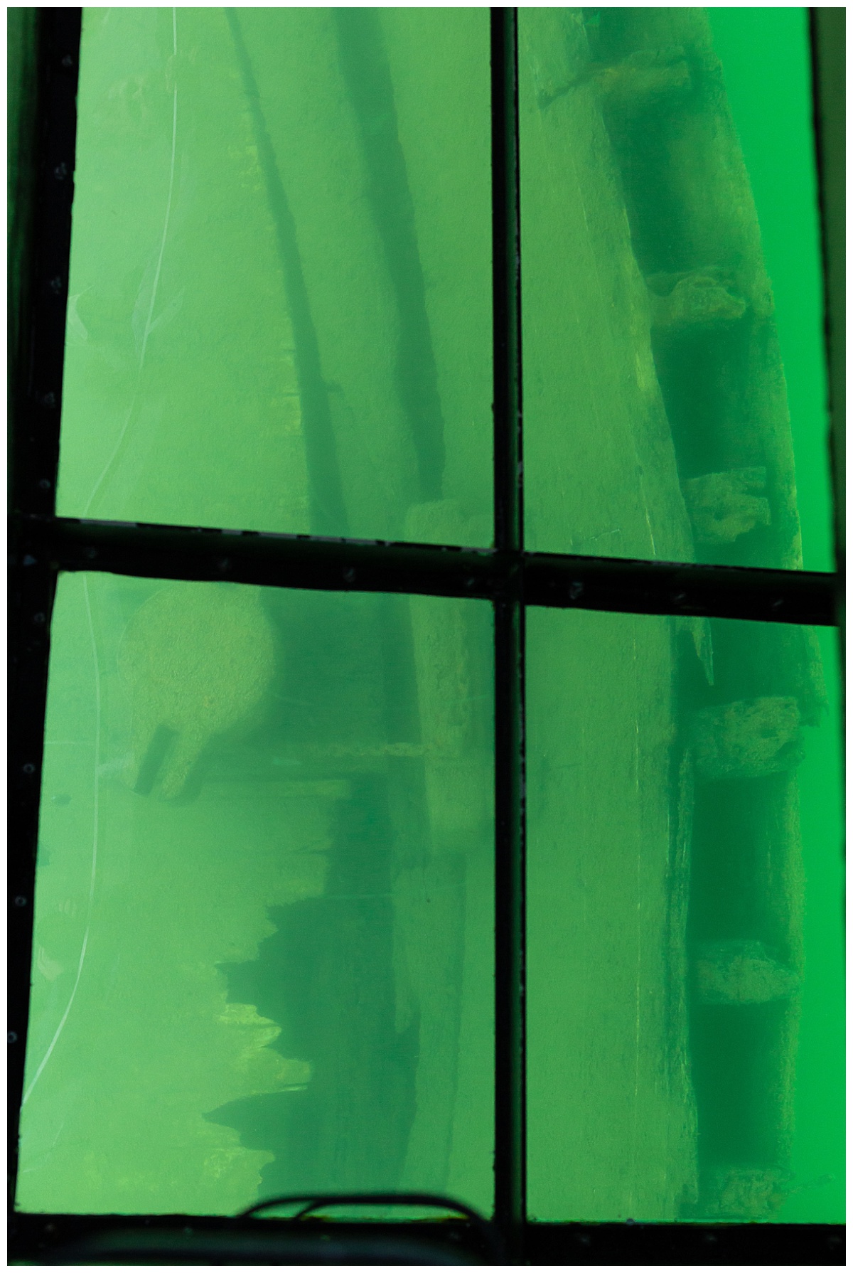 Glass Bottom Boat Tour 