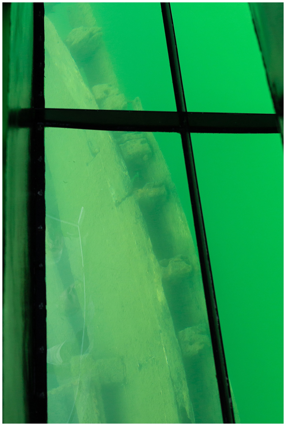 Glass Bottom Boat Tour 