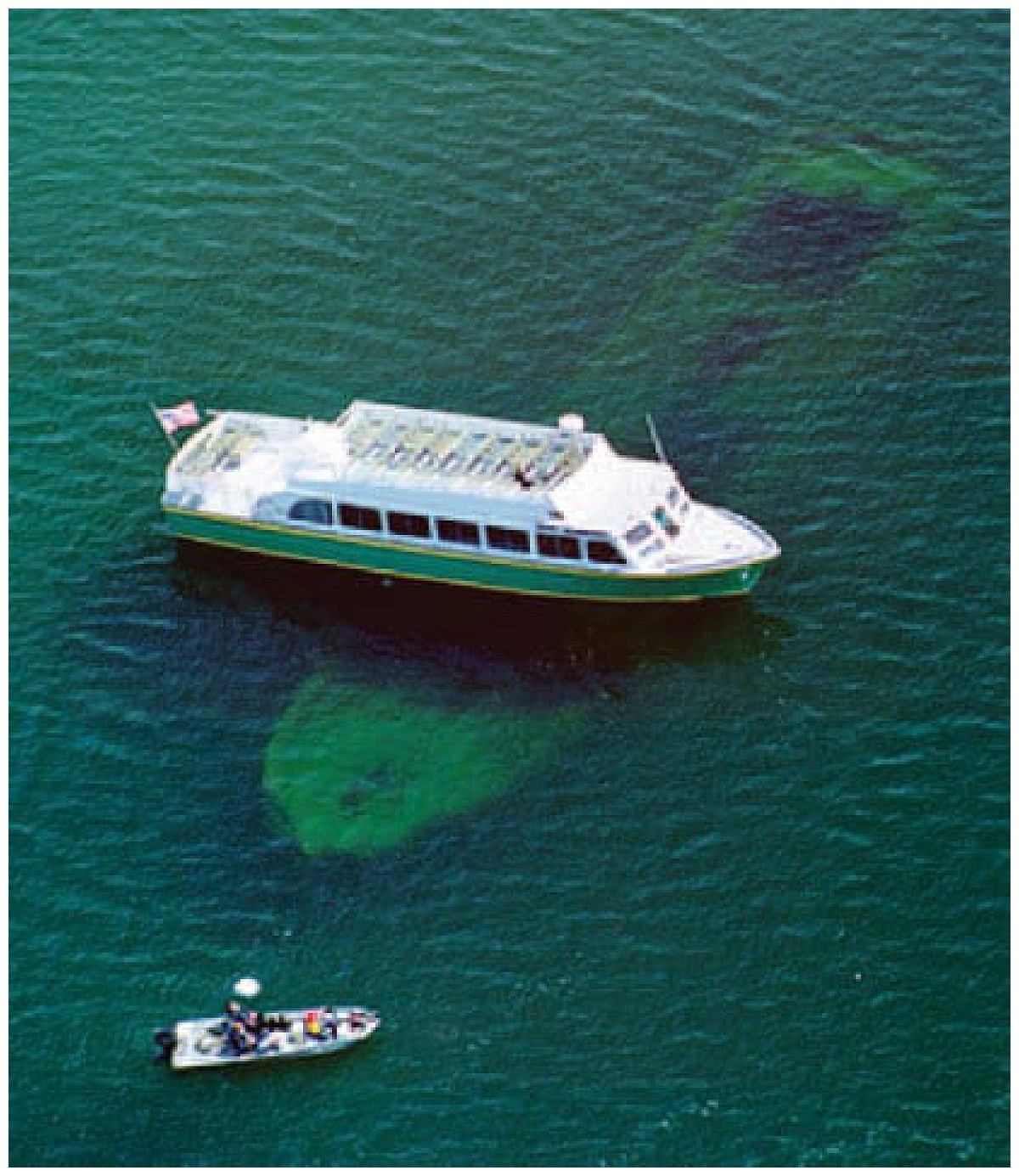 Glass Bottom boat tour 