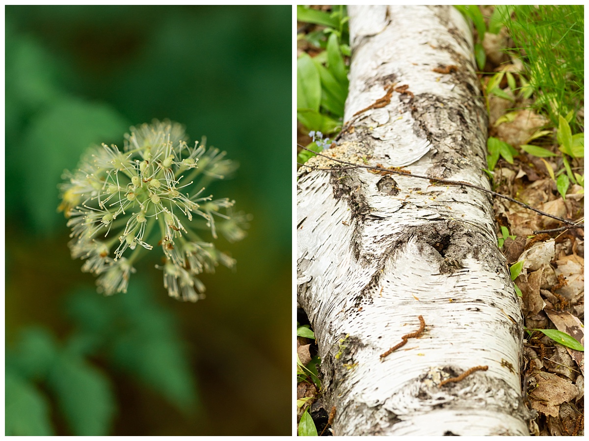 Miner's Castle at Pictured Rocks National Lakeshore photo by Simply Seeking Photography