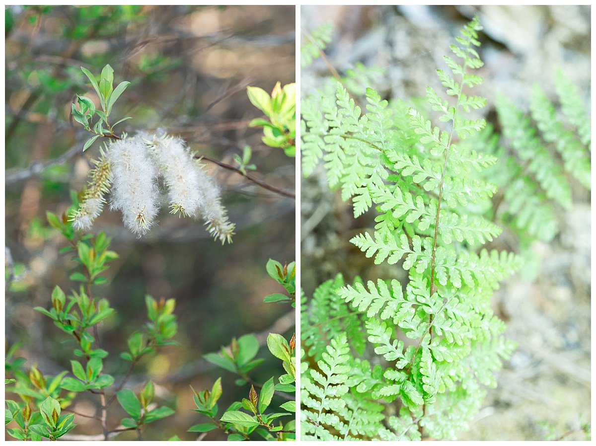 Hiking trail photo by Simply Seeking Photography_0565