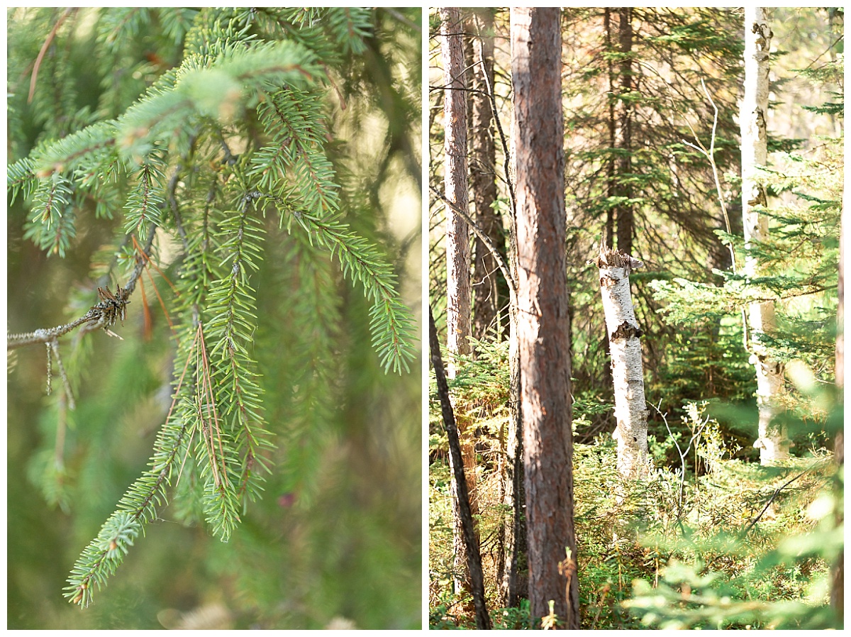 Hiking trail photo by Simply Seeking Photography_0565
