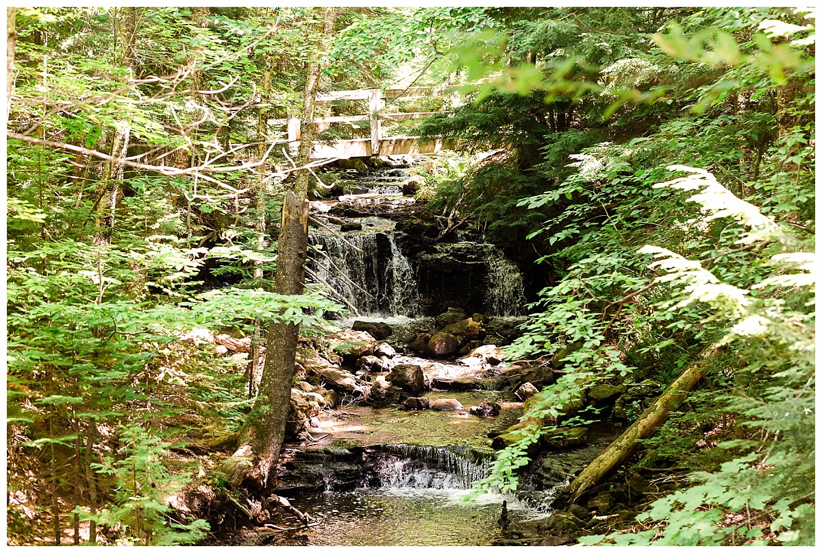 Hiking trail photo by Simply Seeking Photography_0565