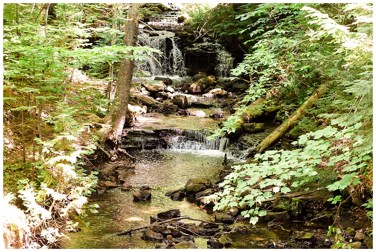Hiking trail photo by Simply Seeking Photography_0565
