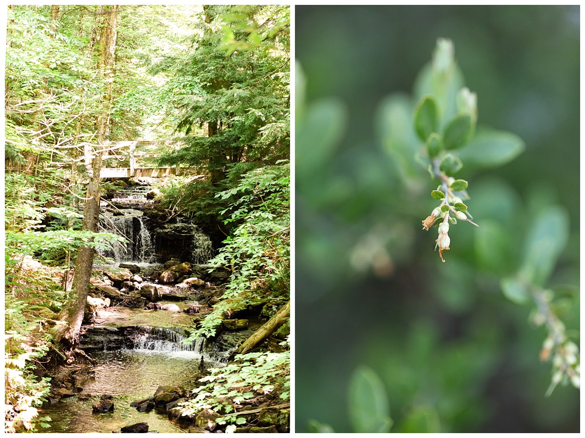Hiking trail photo by Simply Seeking Photography_0565