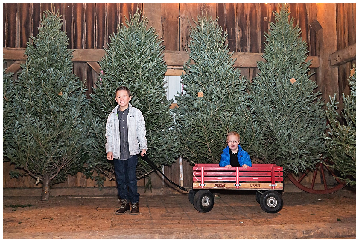 Christmas Mini Session at Stauffer Farms photo by Simply Seeking Photography
