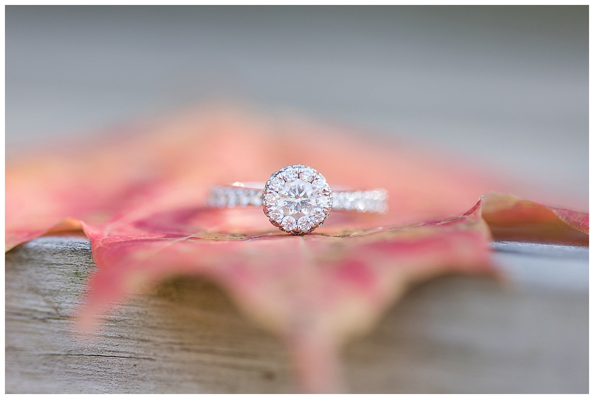 Fall Morning Engagement Session