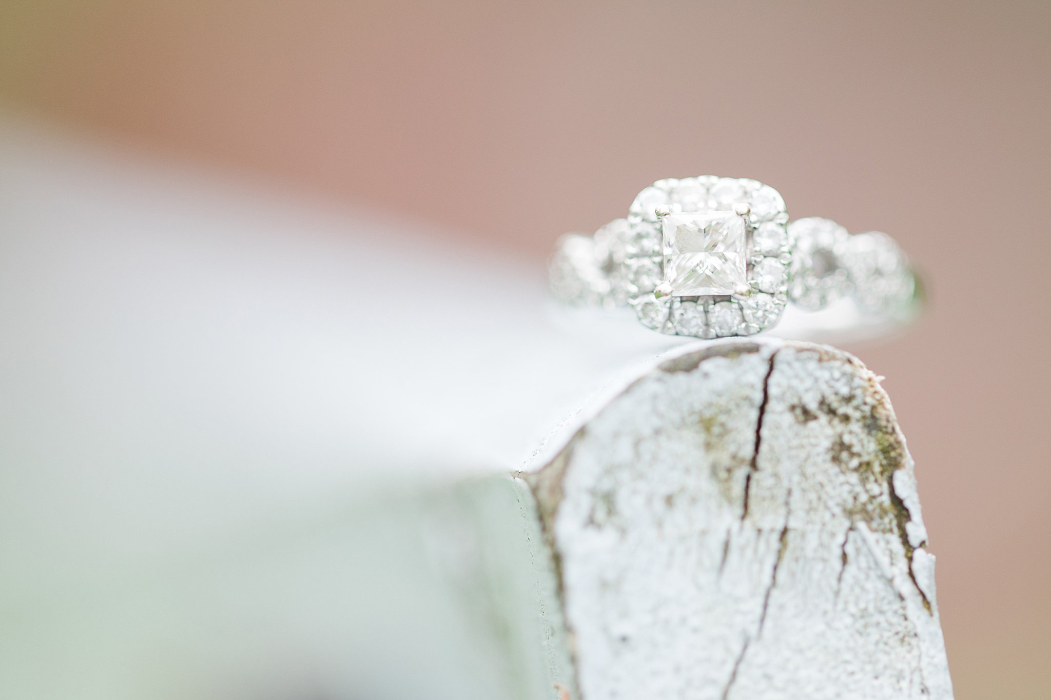 Spring Engagement session--engagement ring