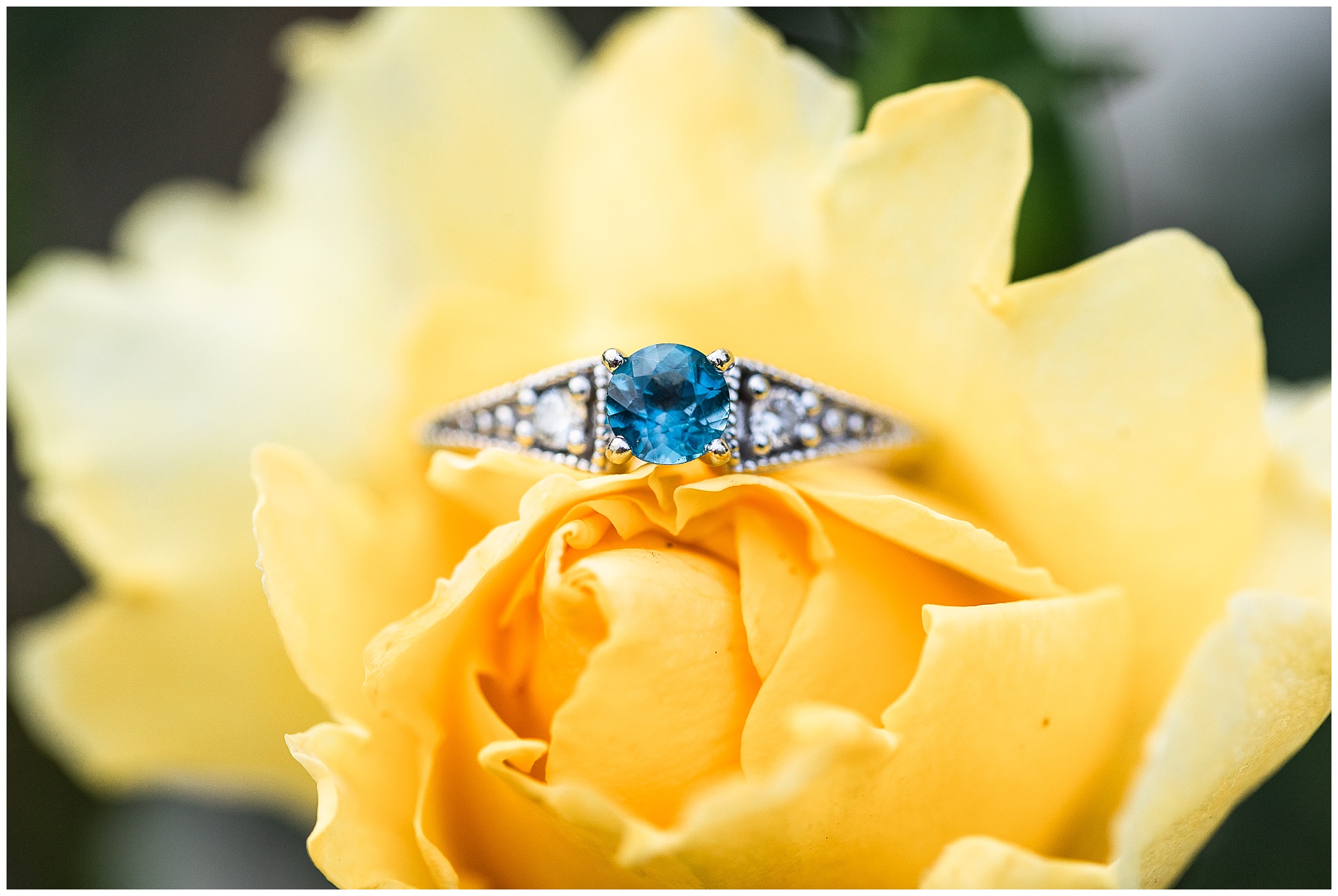 engagement ring on yellow rose Lakeside Garden summer engagement session photos by Simply Seeking Photography